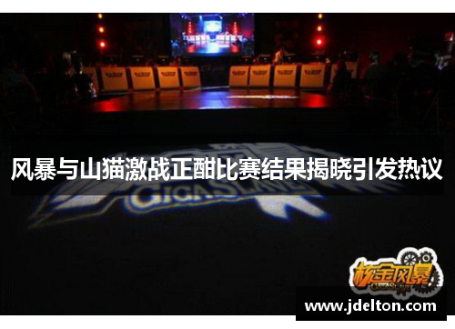 风暴与山猫激战正酣比赛结果揭晓引发热议