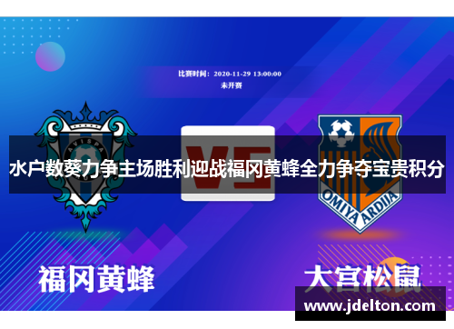水户数葵力争主场胜利迎战福冈黄蜂全力争夺宝贵积分